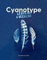 Cyanotype - Victoria Glover ; Gaynor Sermon - 9781837760633