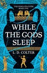 While the Gods Sleep - L. D. Colter - 9781837867110
