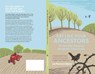 Eat Like Your Ancestors (From the Ground Beneath Your Feet) - PEARSON MANN,  Liz - 9781838183028