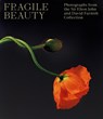 Fragile Beauty - Duncan Forbes ; Newell Harbin ; Lydia Caston - 9781838510466