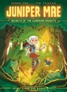 Juniper Mae: Secrets of the Guardian Knights (Library Edition) - Sarah Soh - 9781838749620