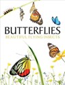 Butterflies - Julianna Photopoulos - 9781838861605