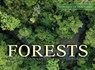 Forests - Kieron Connolly - 9781838861674