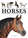 Horses - Paula Hammond - 9781838862596