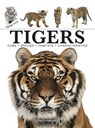 Tigers - Paula Hammond - 9781838862602