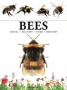 Bees - Tom Jackson - 9781838863579