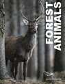 Forest Animals - Julianna Photopoulos - 9781838863654