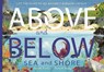 Above and Below: Sea and Shore - Harriet Evans ; Hannah Bailey - 9781838915056