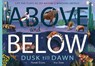 Above and Below: Dusk till Dawn - Harriet Evans - 9781838916480