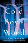 Cold Boy's Wood - Carol Birch - 9781838939434
