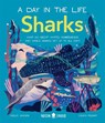 Sharks (A Day in the Life) - Carlee Jackson ; Neon Squid - 9781838992064