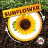 Life Cycle of a Sunflower - Kirsty Holmes - 9781839274732