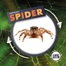 Life Cycle Of A Spider - Kirsty Holmes - 9781839274763