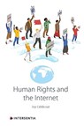 Human Rights and the Internet - Joy Liddicoat - 9781839700590