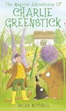 The Magical Adventures of Charlie Greenstick - MITCHELL,  Brian - 9781839754739
