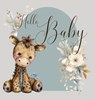 Hello Baby, Baby Shower Guest Book (hardback) - Lulu And Bell - 9781839903632