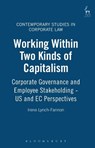 Working Within Two Kinds of Capitalism - Prof Irene Lynch-Fannon - 9781841132860