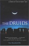 A Brief History of the Druids - Peter Ellis - 9781841194684