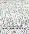 Natural Reserve - Zadok Ben-David - 9781842467541