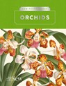 Fay, M: Kew Pocketbooks: Orchids - Michael F Fay - 9781842467718