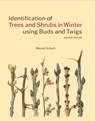 Identification of Trees and Shrubs in Winter using Buds and Twigs - Bernd Schulz - 9781842468340