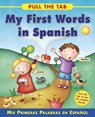 Pull the Tab: My First Words in Spanish - Delany Sally - 9781843229179