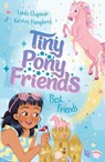 Tiny Pony Friends: Best Friends - Linda Chapman - 9781843624981