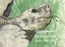 Galapagos Sketchbook - David Pollock - 9781843682141