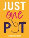 Just One Pot - Lindsey Bareham - 9781844038169