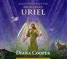 Meditation to Connect with Archangel Uriel -  - 9781844095155