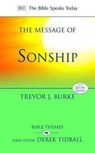 The Message of Sonship - Professor Trevor J. (Author) Burke - 9781844745388