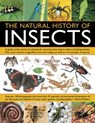 Natural History of Insects - Martin Walters - 9781844764686