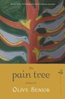The Pain Tree - Olive Senior - 9781845233488