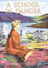 A School in Danger - Mabel Esther Allan - 9781847453563