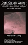 Dark Clouds Gather - Katy Sara Culling - 9781847477316