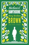 Young Goodman Brown and Other Stories - Nathaniel Hawthorne - 9781847496522
