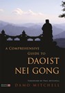 A Comprehensive Guide to Daoist Nei Gong - Damo Mitchell - 9781848194106
