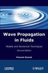 Wave Propagation in Fluids - Vincent (University of Montpellier Guinot - 9781848212138