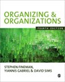 Organizing & Organizations - Stephen Fineman ; Yiannis Gabriel ; David B P Sims - 9781848600867
