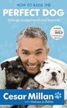 How to Raise the Perfect Dog - Cesar Millan - 9781848946620