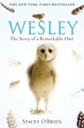Wesley - Stacey O'Brien - 9781849010580