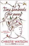 Tiny Sunbirds Far Away - Christie Watson - 9781849163750