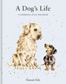 A Dog’s Life - Hannah Dale - 9781849949255