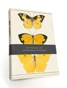 Butterfly Notebook Set -  - 9781851245413