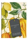 Botanical Art Notebook Set -  - 9781851245697