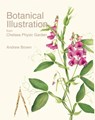 Botanical Illustration from Chelsea Physic Garden - Andrew Brown ; Christopher Bailes ; Phillip Cribb - 9781851497966