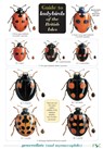 Guide to Ladybirds of the British Isles -  - 9781851532971