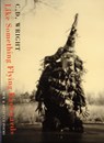 Like Something Flying Backwards - C. D. Wright - 9781852247621