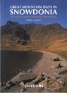 Great Mountain Days in Snowdonia - Terry Marsh - 9781852845810