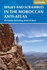 Walks and Scrambles in the Moroccan Anti-Atlas - David Wood - 9781852848095